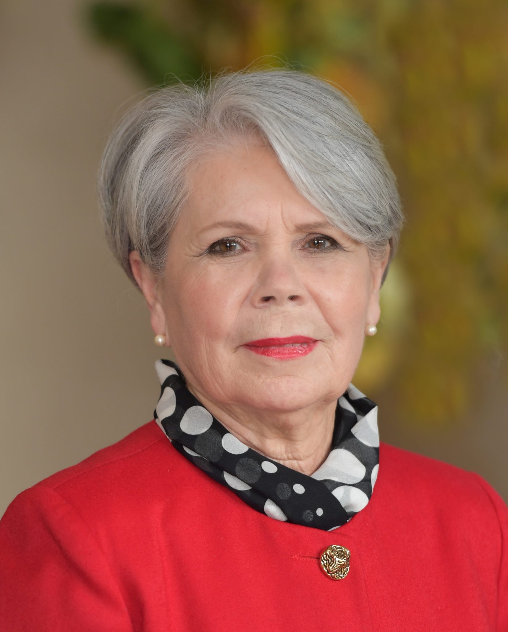 Chantal SUBRA Maire Commune de SallessurMer Chantal SUBRA Maire Commune de SallessurMer